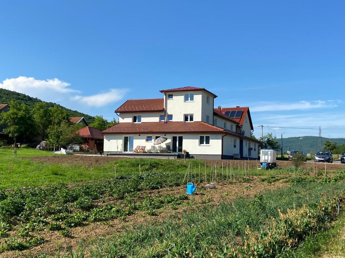 Apartman Fenestra S Terasom I Pogledom Na Gacku オトチャッツ エクステリア 写真